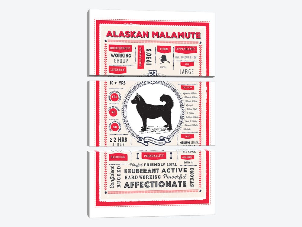 Alaskan Malamute Infographic Red by PaperPaintPixels 3-piece Art Print