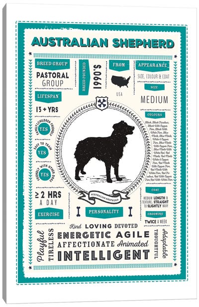 Australian Shepherd Infographic Blue Canvas Art Print - Australian Shepherd Art