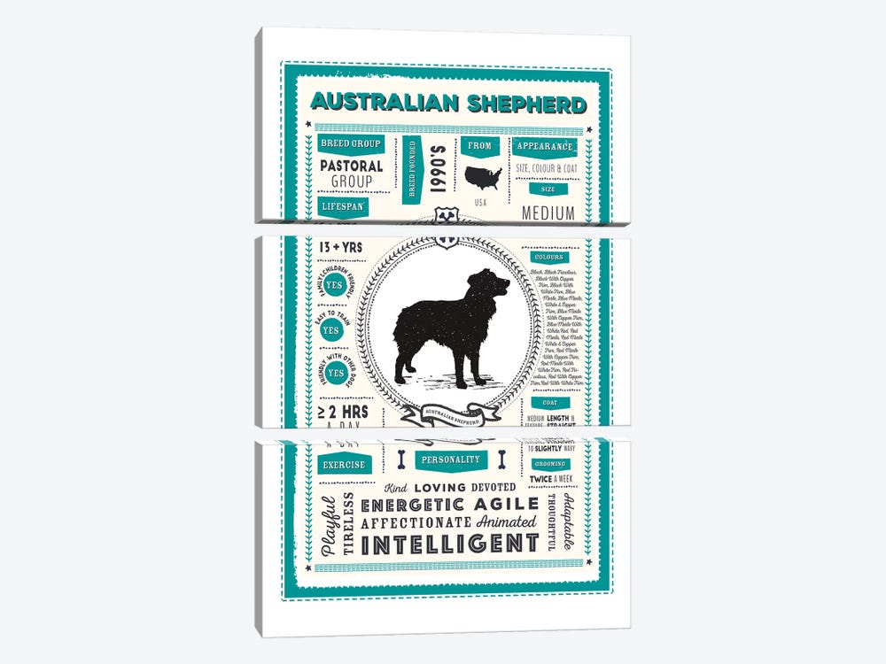 Australian Shepherd Infographic Blue by PaperPaintPixels 3-piece Canvas Wall Art