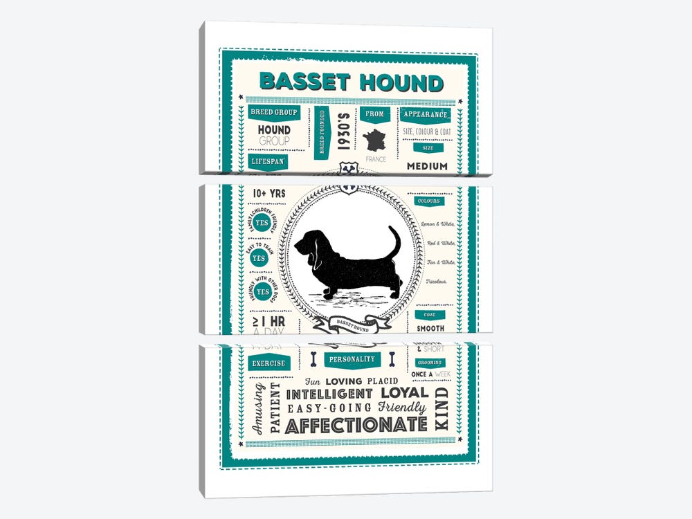 Basset Hound Infographic Blue by PaperPaintPixels 3-piece Art Print