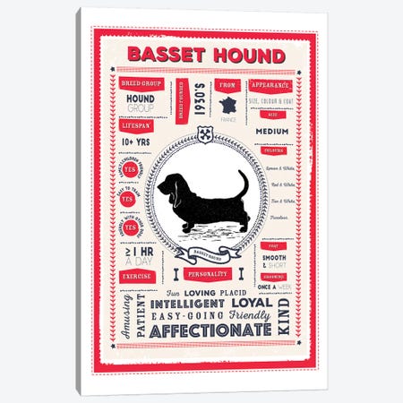 Basset Hound Infographic Red Canvas Print #PPX186} by PaperPaintPixels Canvas Artwork