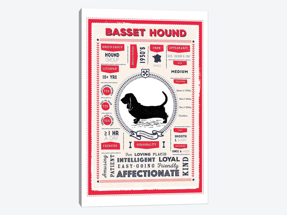 Basset Hound Infographic Red by PaperPaintPixels 1-piece Canvas Art
