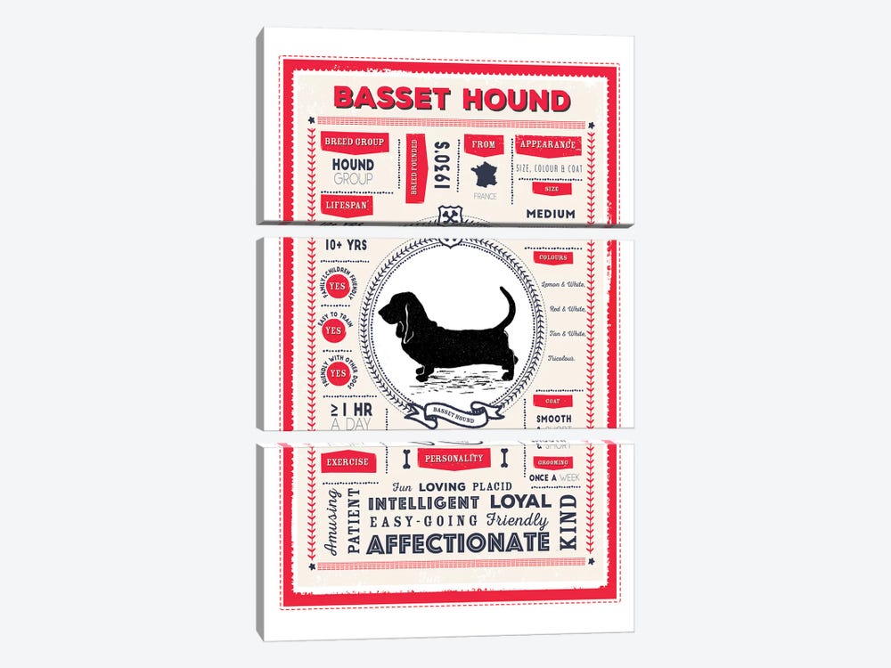 Basset Hound Infographic Red by PaperPaintPixels 3-piece Canvas Art