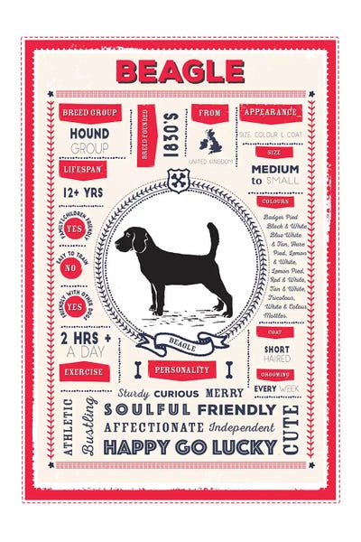 Beagle Infographic Red by PaperPaintPixels canvas print