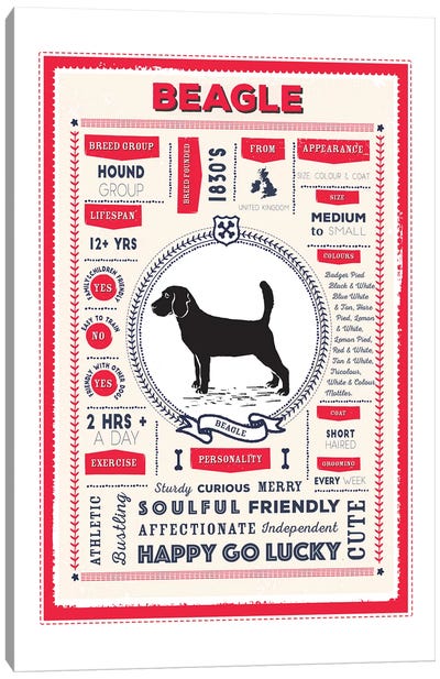 Beagle Infographic Red Canvas Art Print - Beagle Art