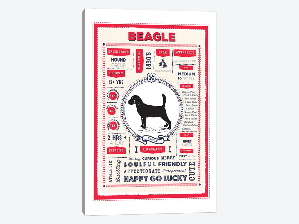 Beagle Infographic Red by PaperPaintPixels 1-piece Canvas Artwork