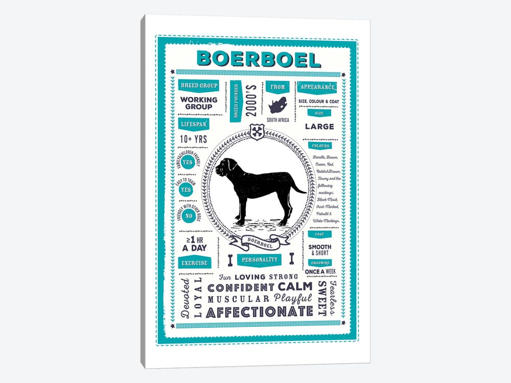 Boerboel Infographic Blue by PaperPaintPixels 1-piece Canvas Art Print