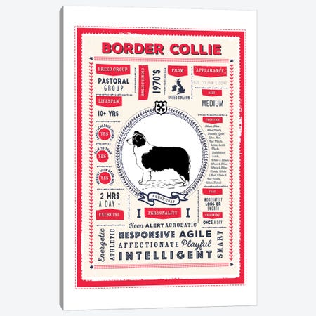 Border Collie - Rough Coat Infographic Red Canvas Print #PPX191} by PaperPaintPixels Canvas Artwork