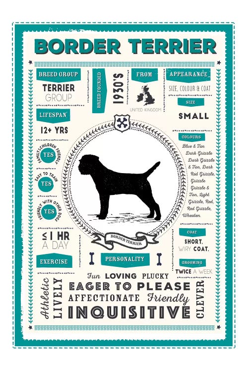 Border Terrier Infographic Blue by PaperPaintPixels wall art