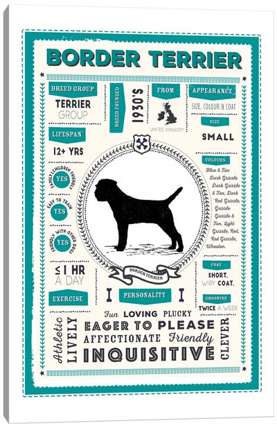 Border Terrier Infographic Blue Canvas Art Print - Border Terrier Art