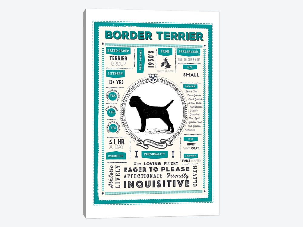 Border Terrier Infographic Blue by PaperPaintPixels 1-piece Canvas Print