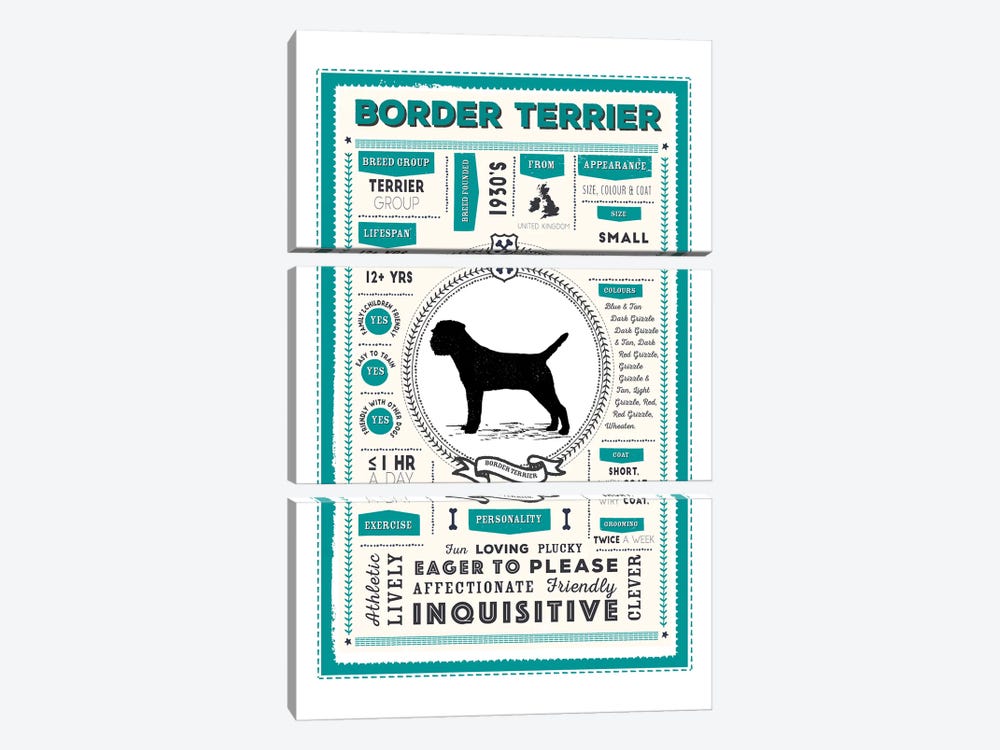 Border Terrier Infographic Blue 3-piece Canvas Print