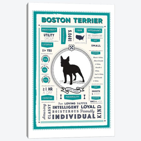 Boston Terrier Infographic Blue Canvas Print #PPX195} by PaperPaintPixels Canvas Art Print