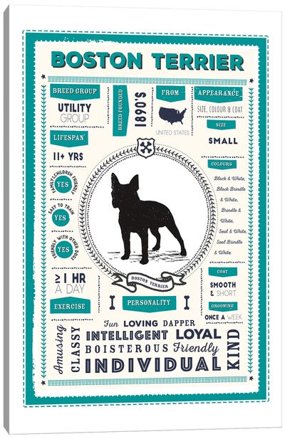 Boston Terrier Infographic Blue Canvas Art Print - PaperPaintPixels