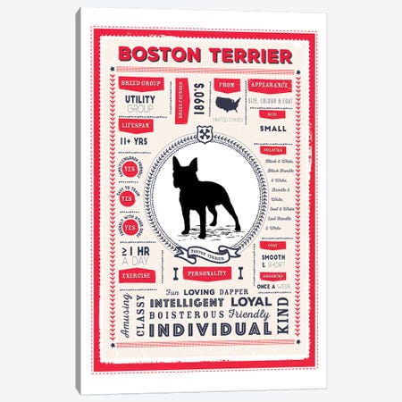 Boston Terrier Infographic Red Canvas Print #PPX196} by PaperPaintPixels Canvas Art Print