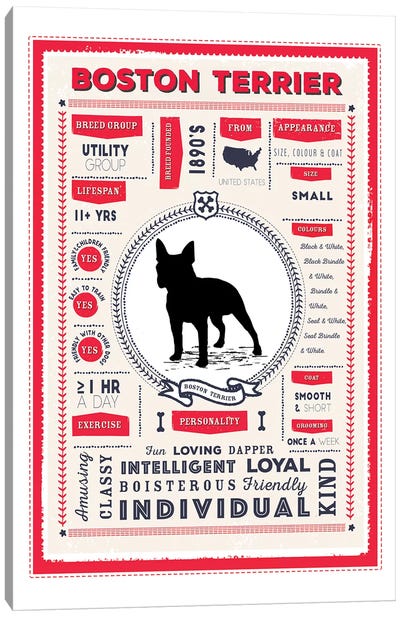 Boston Terrier Infographic Red Canvas Art Print - Boston Terrier Art
