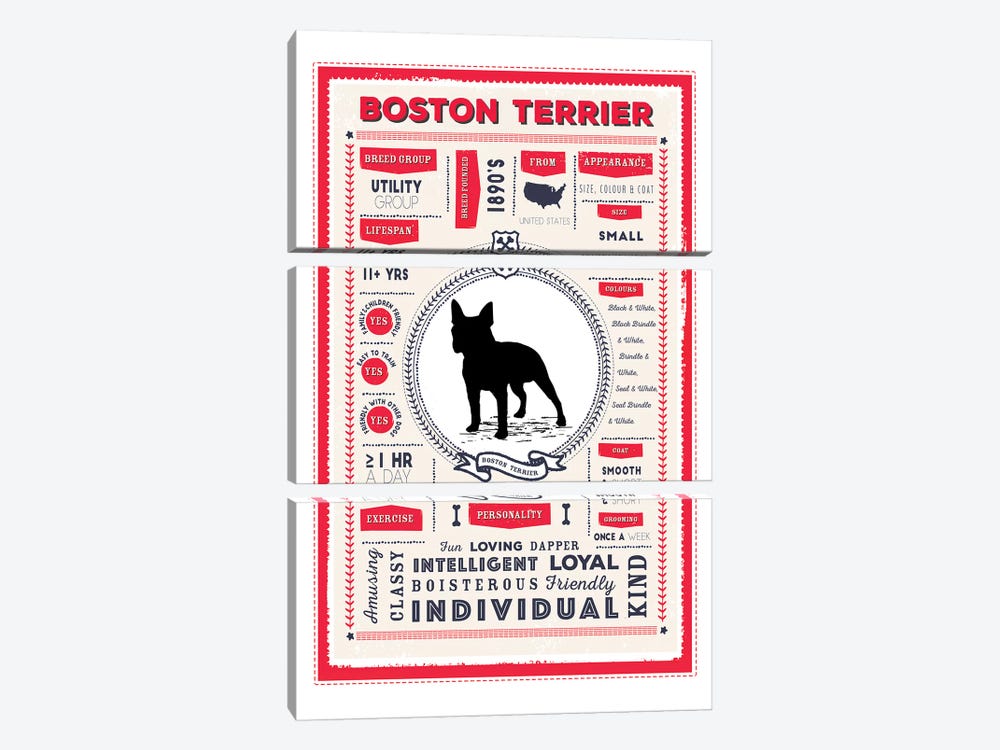 Boston Terrier Infographic Red by PaperPaintPixels 3-piece Art Print