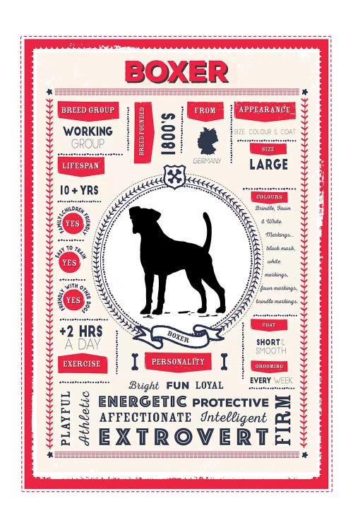 Boxer Infographic Red by PaperPaintPixels wall art
