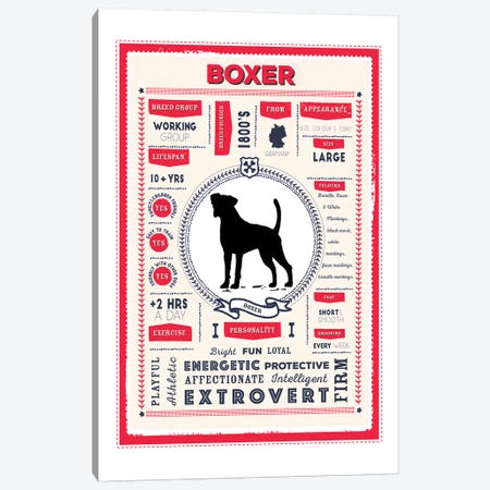 Boxer Infographic Red Canvas Print #PPX198} by PaperPaintPixels Canvas Wall Art