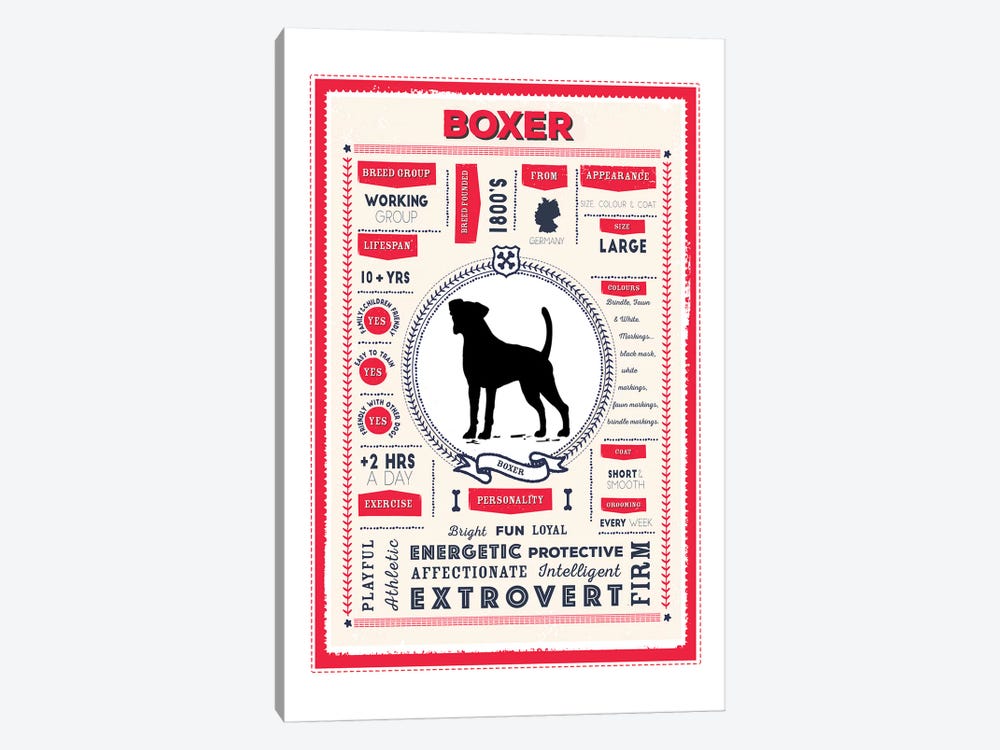Boxer Infographic Red by PaperPaintPixels 1-piece Canvas Art Print