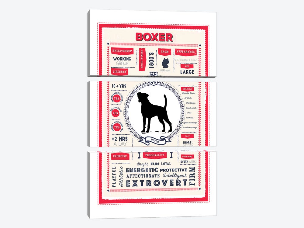 Boxer Infographic Red by PaperPaintPixels 3-piece Canvas Print