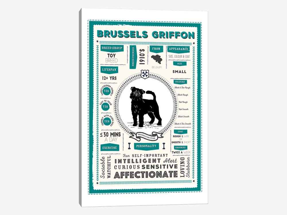 Brussels Griffon Infographic Blue by PaperPaintPixels 1-piece Canvas Art