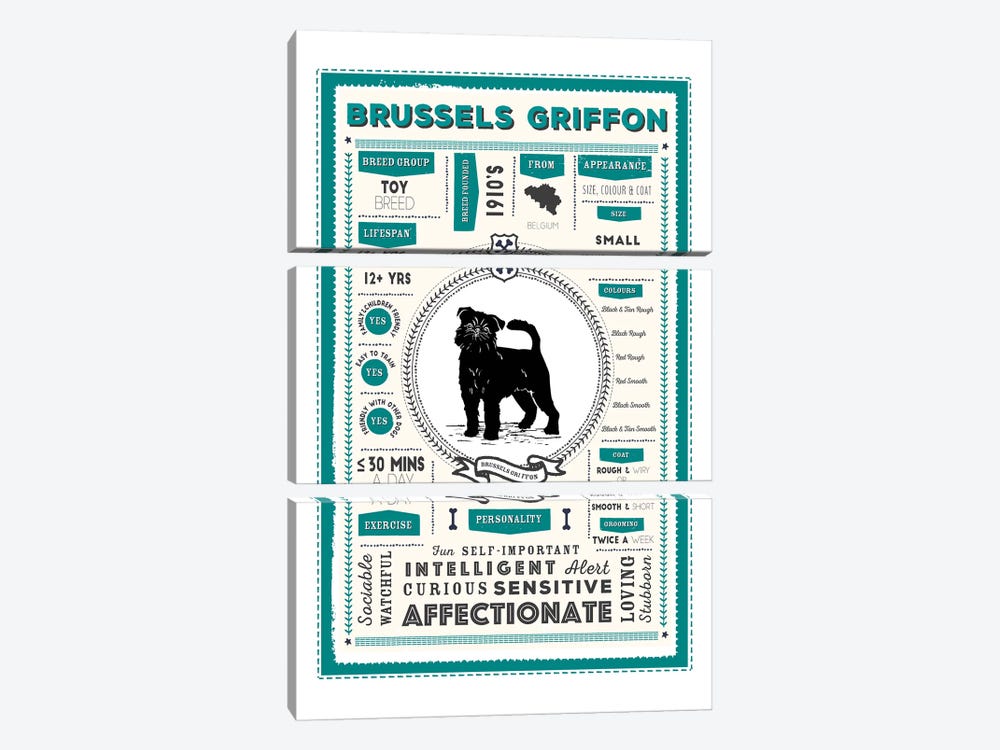 Brussels Griffon Infographic Blue by PaperPaintPixels 3-piece Canvas Art
