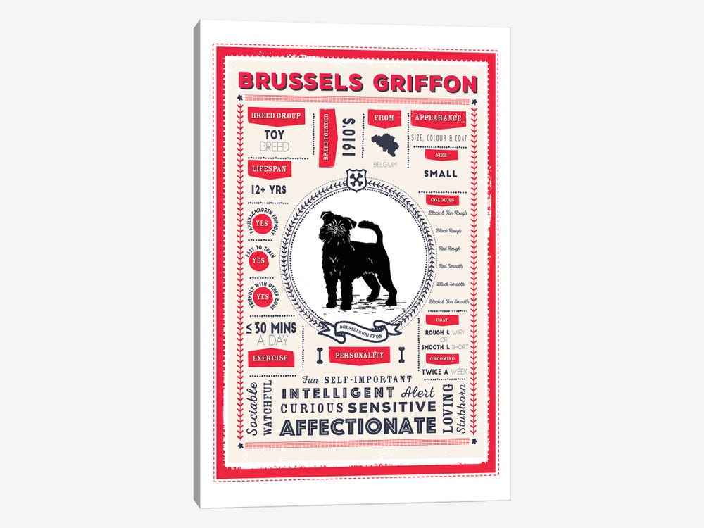 Brussels Griffon Infographic Red by PaperPaintPixels 1-piece Canvas Artwork