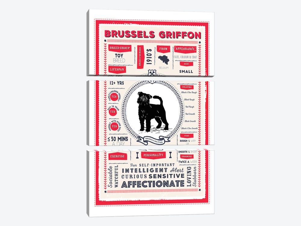 Brussels Griffon Infographic Red by PaperPaintPixels 3-piece Canvas Artwork