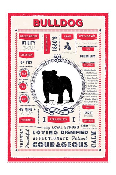 Bulldog Infographic Red by PaperPaintPixels metal wall art