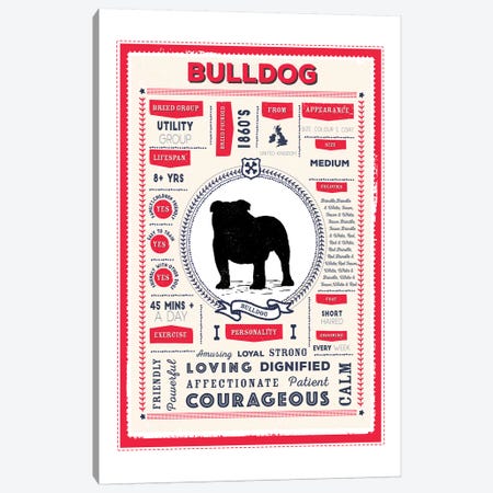 Bulldog Infographic Red Canvas Print #PPX201} by PaperPaintPixels Canvas Artwork