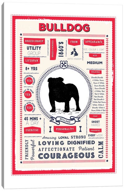 Bulldog Infographic Red Canvas Art Print - PaperPaintPixels
