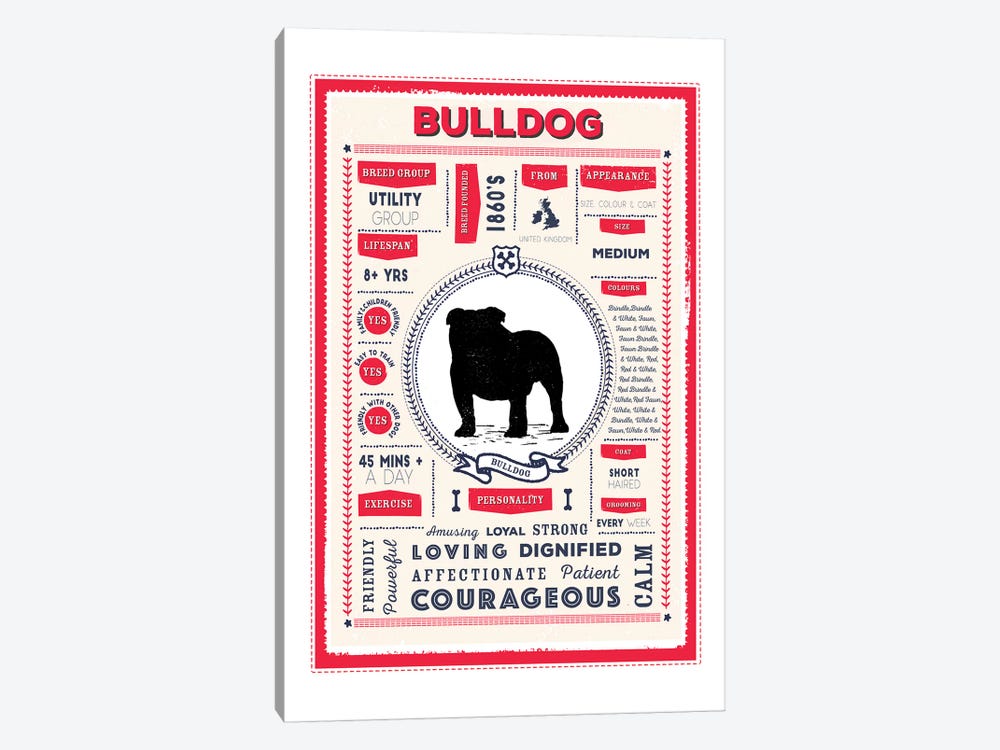 Bulldog Infographic Red by PaperPaintPixels 1-piece Canvas Print