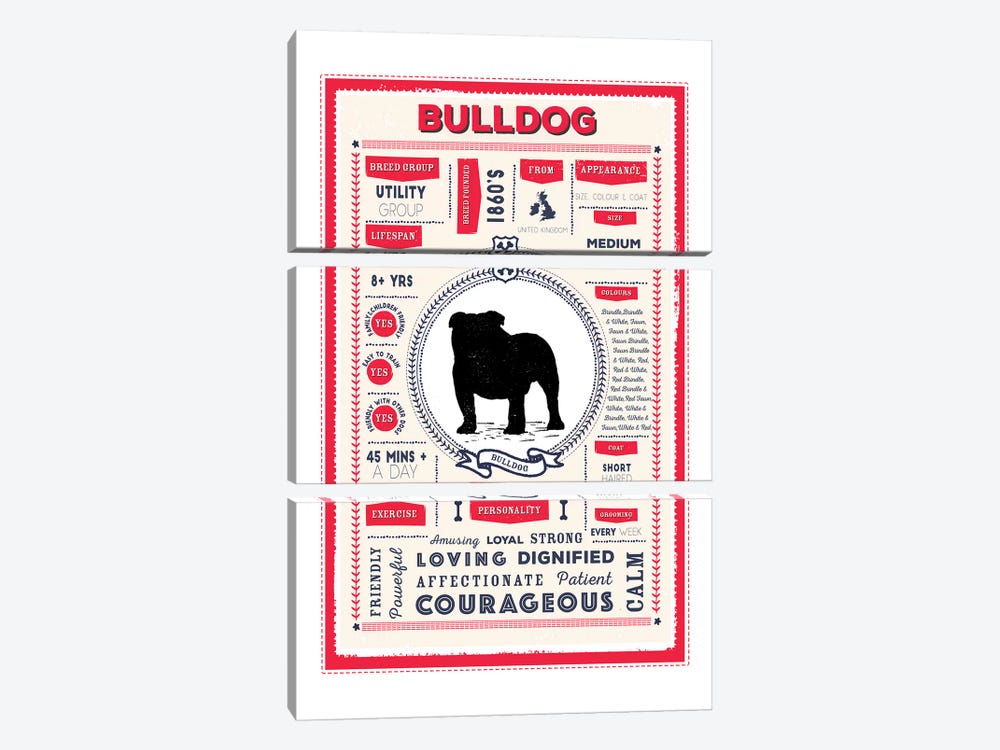 Bulldog Infographic Red by PaperPaintPixels 3-piece Canvas Print