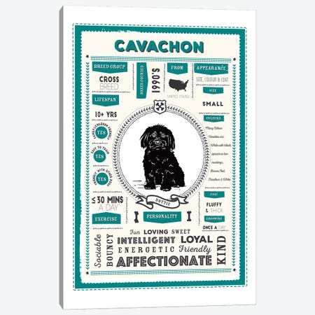 Cavachon Infographic Blue Canvas Print #PPX202} by PaperPaintPixels Canvas Artwork