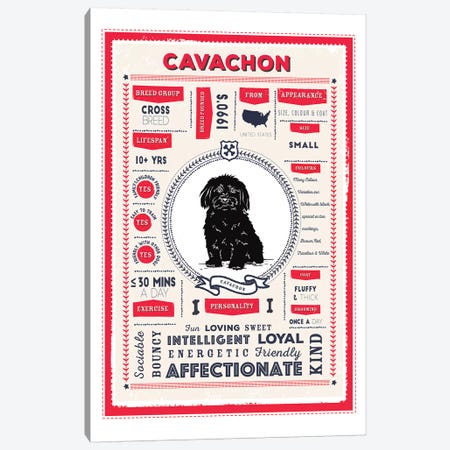 Cavachon Infographic Red Canvas Print #PPX203} by PaperPaintPixels Canvas Wall Art