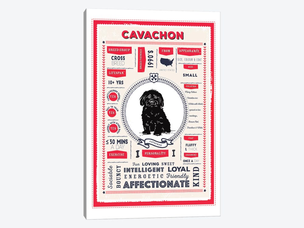 Cavachon Infographic Red by PaperPaintPixels 1-piece Canvas Art Print