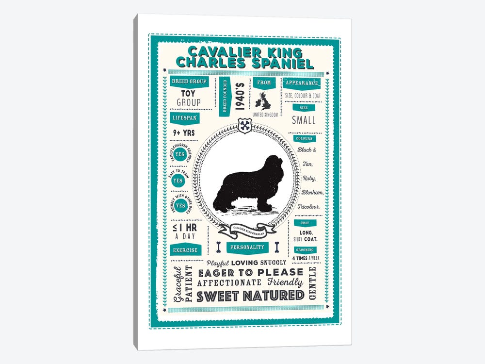 Cavalier King Charles Spaniel Infographic Blue by PaperPaintPixels 1-piece Canvas Artwork