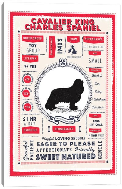 Cavalier King Charles Spaniel Infographic Red Canvas Art Print - Spaniels