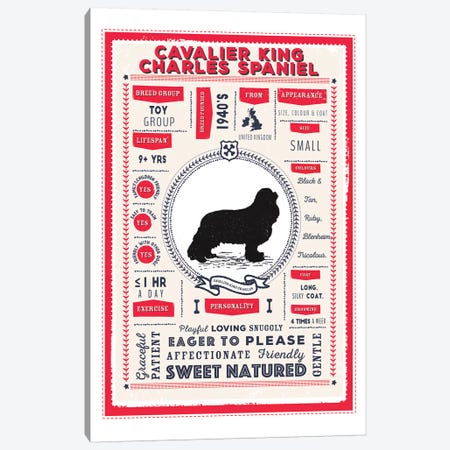Cavalier King Charles Spaniel Infographic Red Canvas Print #PPX205} by PaperPaintPixels Canvas Art Print