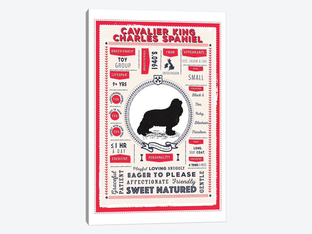 Cavalier King Charles Spaniel Infographic Red by PaperPaintPixels 1-piece Art Print