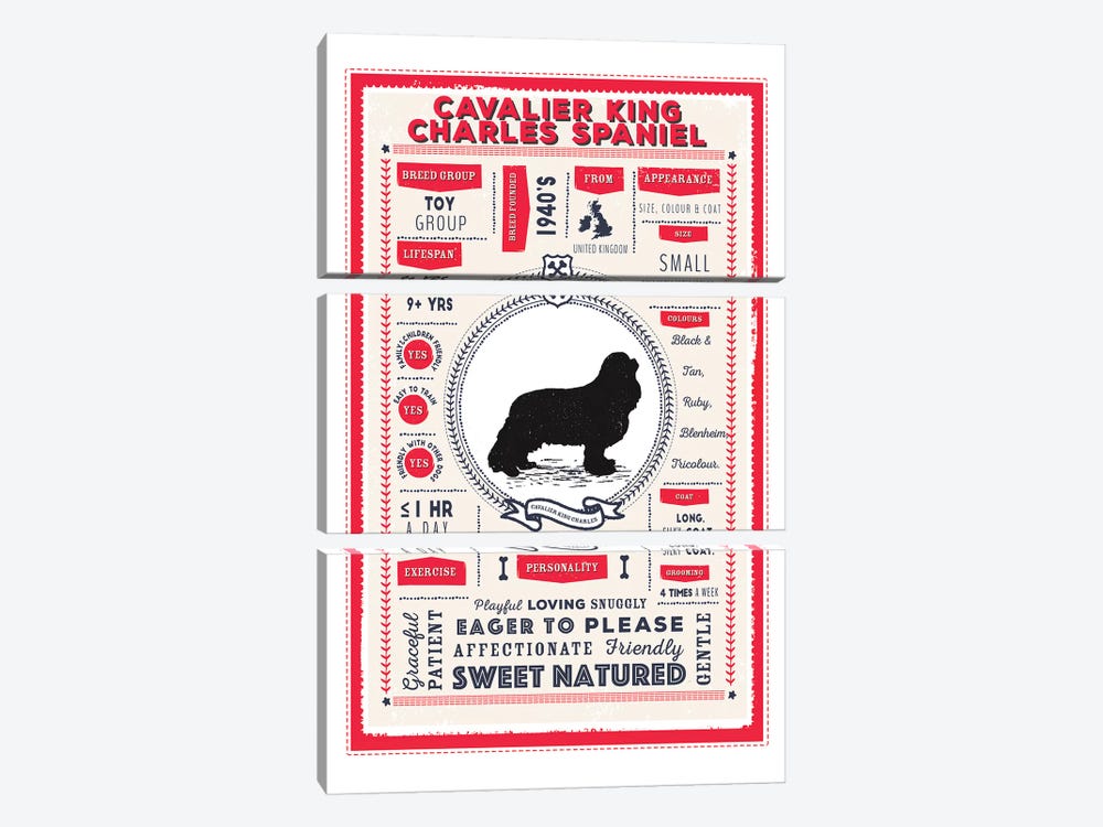 Cavalier King Charles Spaniel Infographic Red by PaperPaintPixels 3-piece Canvas Art Print