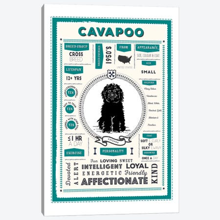 Cavapoo Infographic Blue Canvas Print #PPX206} by PaperPaintPixels Canvas Print