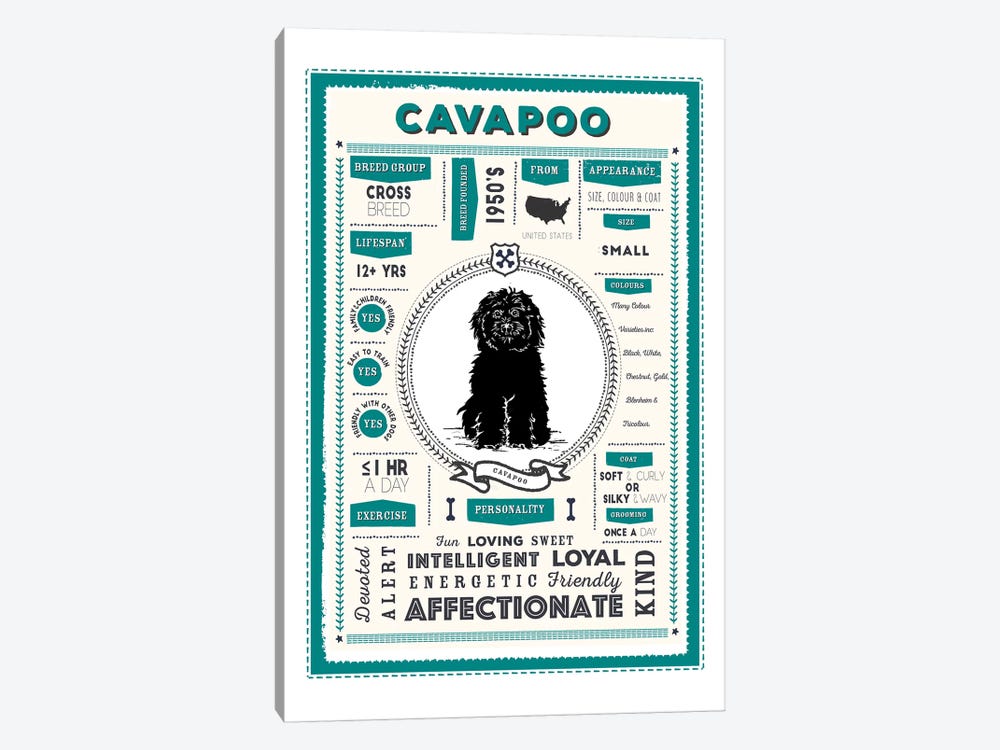 Cavapoo Infographic Blue by PaperPaintPixels 1-piece Canvas Art