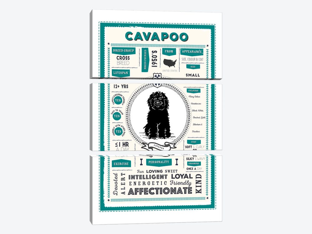 Cavapoo Infographic Blue by PaperPaintPixels 3-piece Canvas Artwork