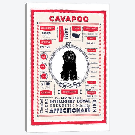 Cavapoo Infographic Red Canvas Print #PPX207} by PaperPaintPixels Art Print