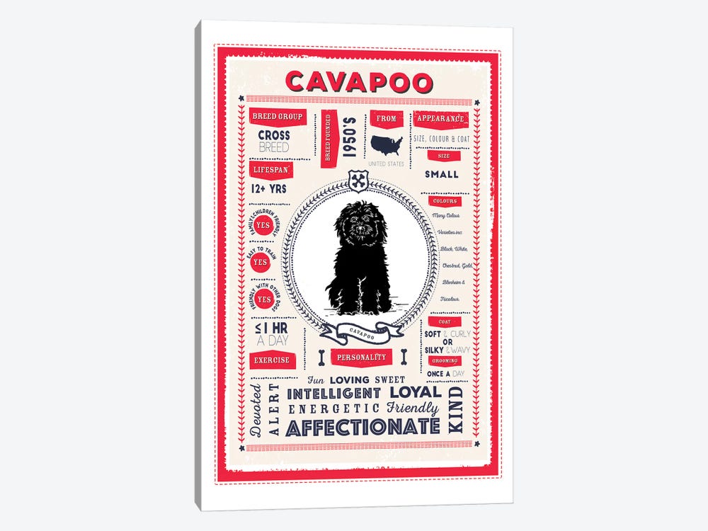 Cavapoo Infographic Red by PaperPaintPixels 1-piece Canvas Art Print