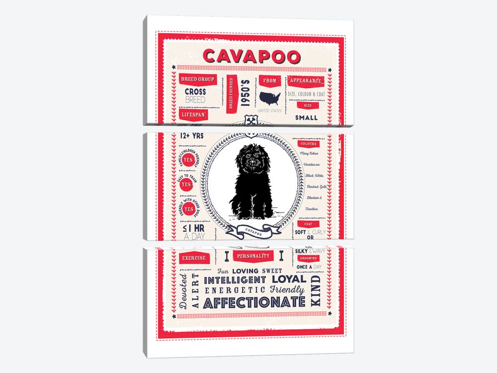 Cavapoo Infographic Red by PaperPaintPixels 3-piece Canvas Print