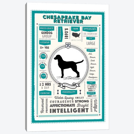Chesapeake Bay Retriever Infographic Blue Canvas Print #PPX208} by PaperPaintPixels Canvas Artwork