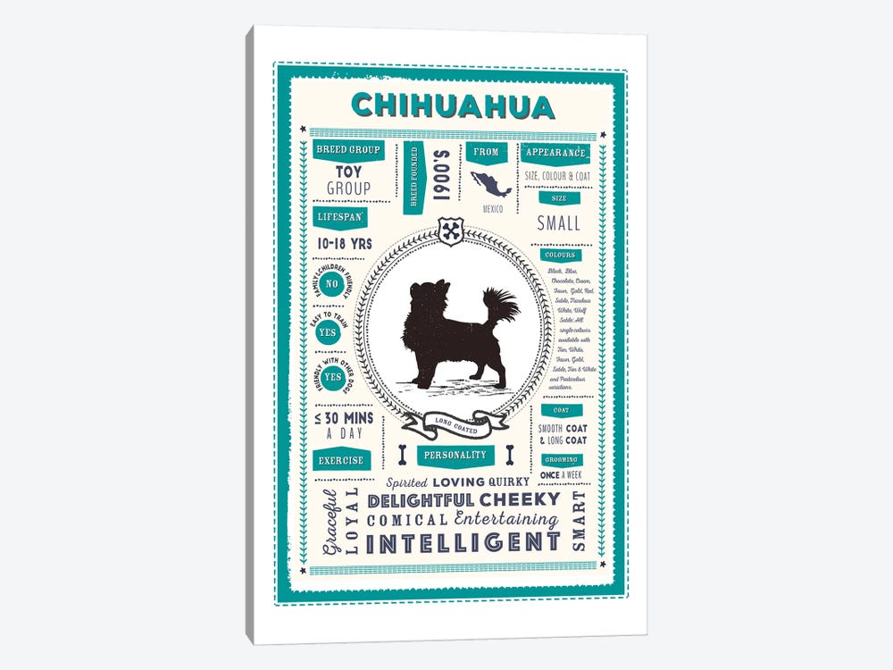 Chihuahua - Long Coated Infographic Blue by PaperPaintPixels 1-piece Art Print